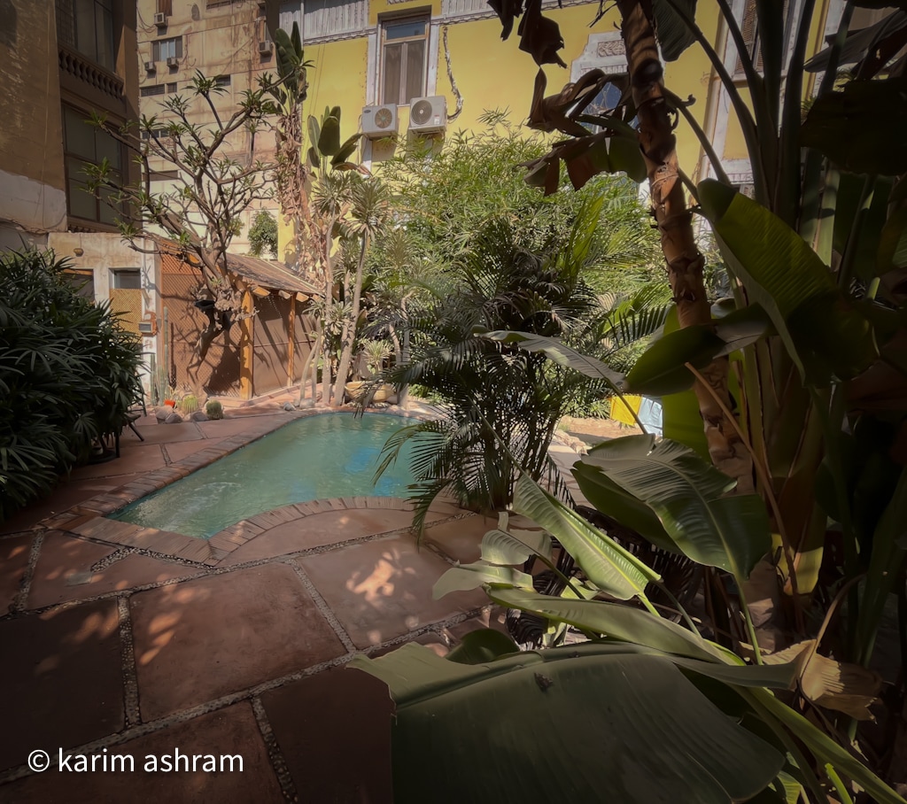 A tranquil outdoor area is surrounded by lush greenery and tropical plants. A small pool is set amidst the foliage, with terracotta tiles lining the edges. Sunlight filters through the leaves, creating a serene atmosphere for relaxation.