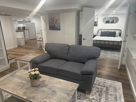 Top performing Airbnb: Free Parking! Large 1 BR Basement Suite Downtown! in Wîhkwêntôwin