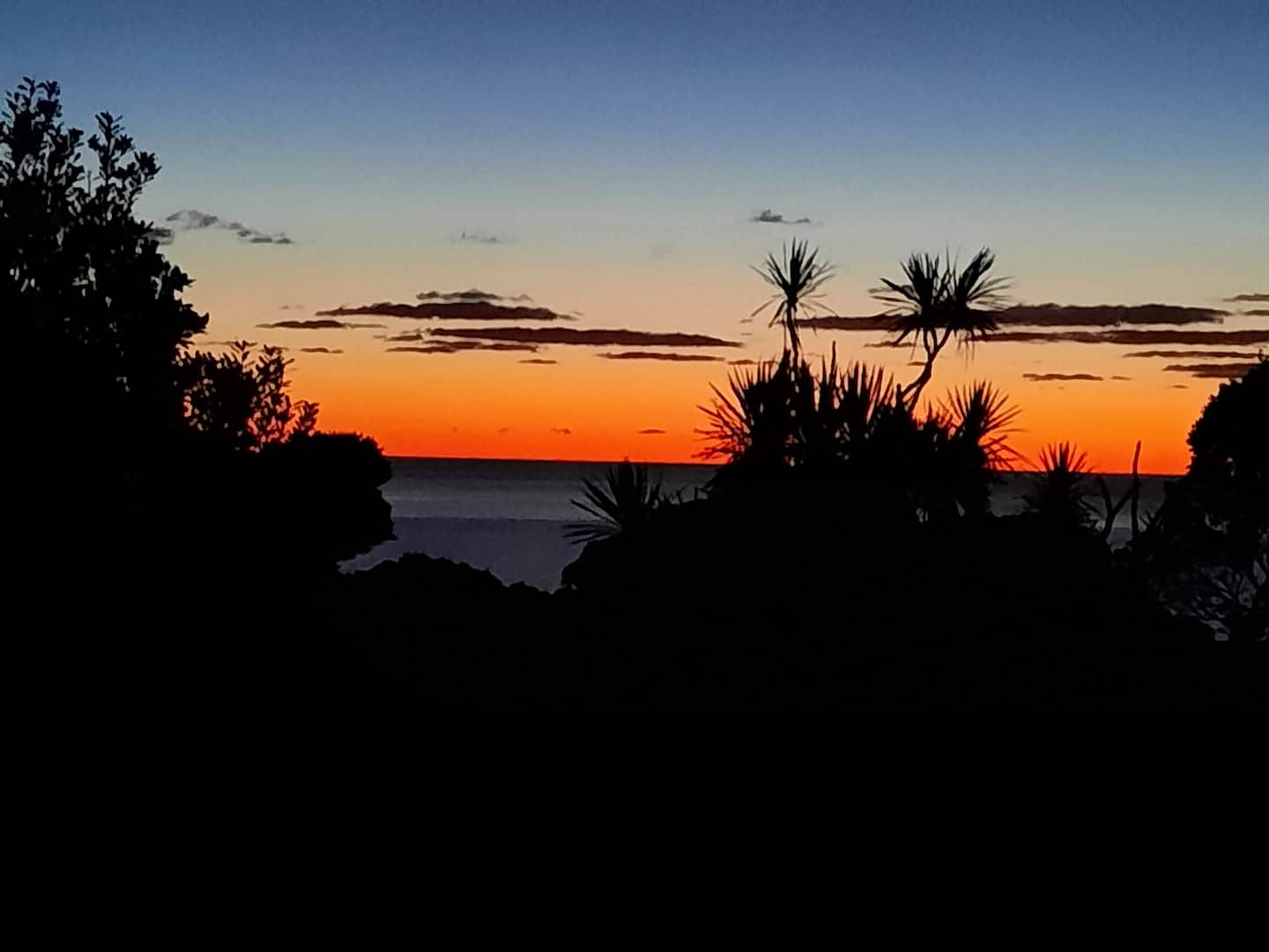 Haven Hill Muriwai Beach 1