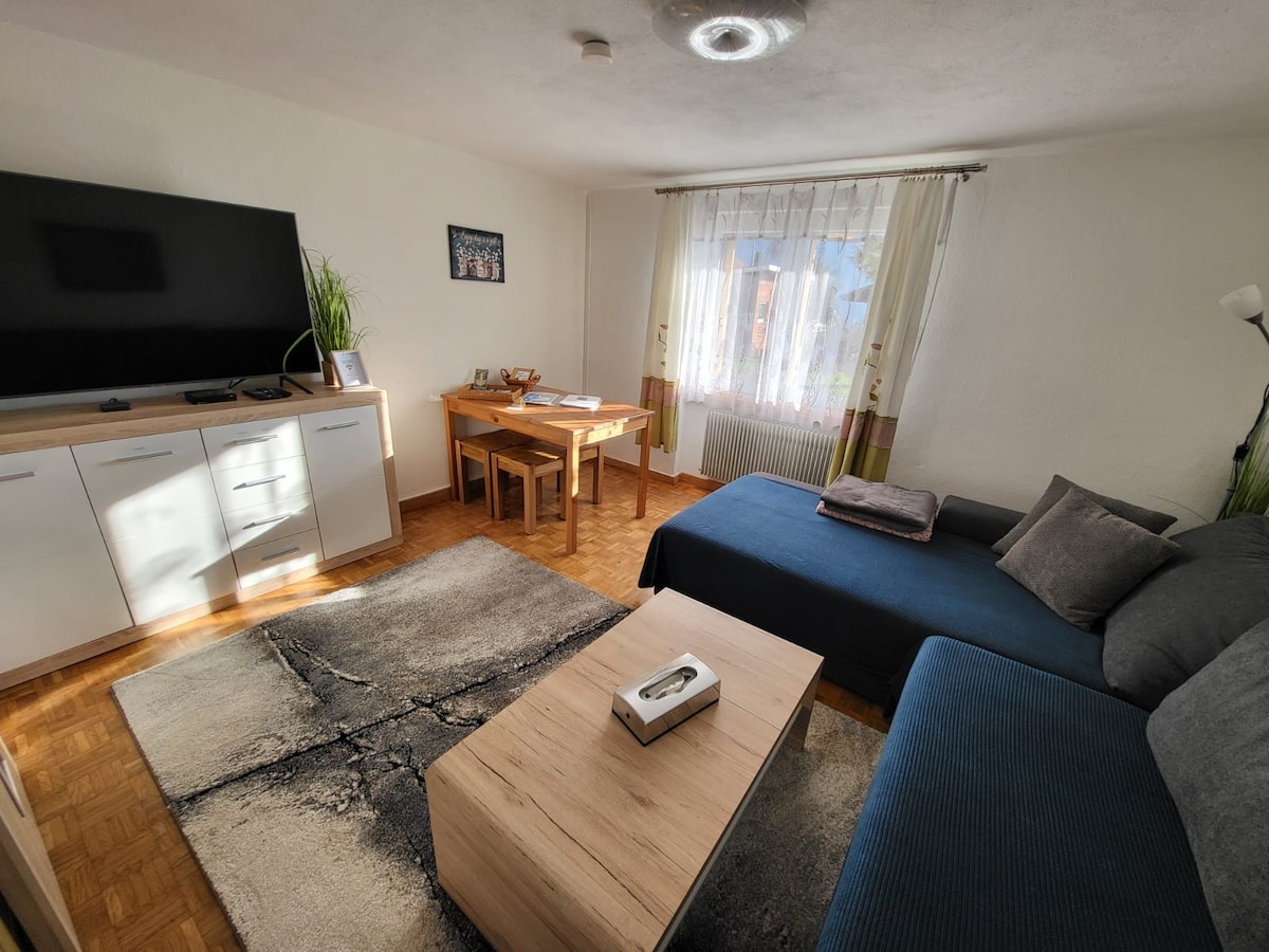 Top Airbnb: Rothorn Angel • Lake View & Private Parking •  in Brienz (Be)