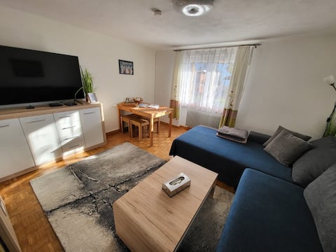 Top Airbnb: Rothorn Angel • Lake View & Private Parking • in Brienz (Be)