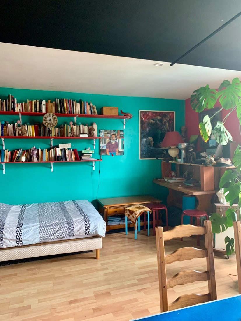 A vibrant room features a spacious bed, framed by an array of colorful books on wall-mounted shelves. A small desk and chair are positioned beside a plant, adding an element of nature. Richly colored walls enhance the artistic ambiance.