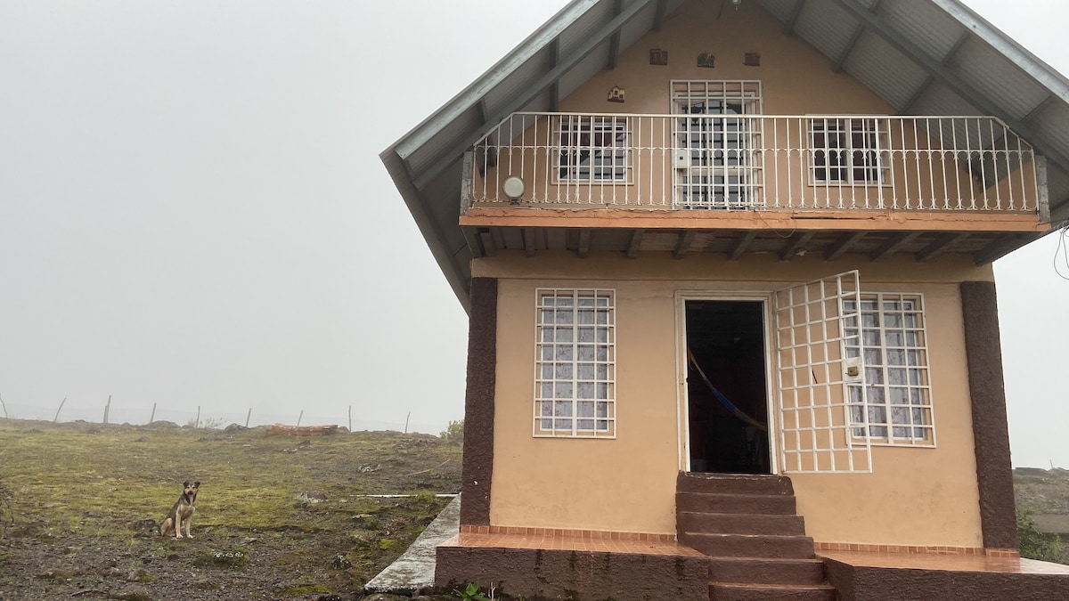 The two-story house is set against a misty landscape, featuring a welcoming entrance with steps leading up to a porch adorned with white railing. Large windows allow natural light, and a dog is seen sitting on the grass nearby.