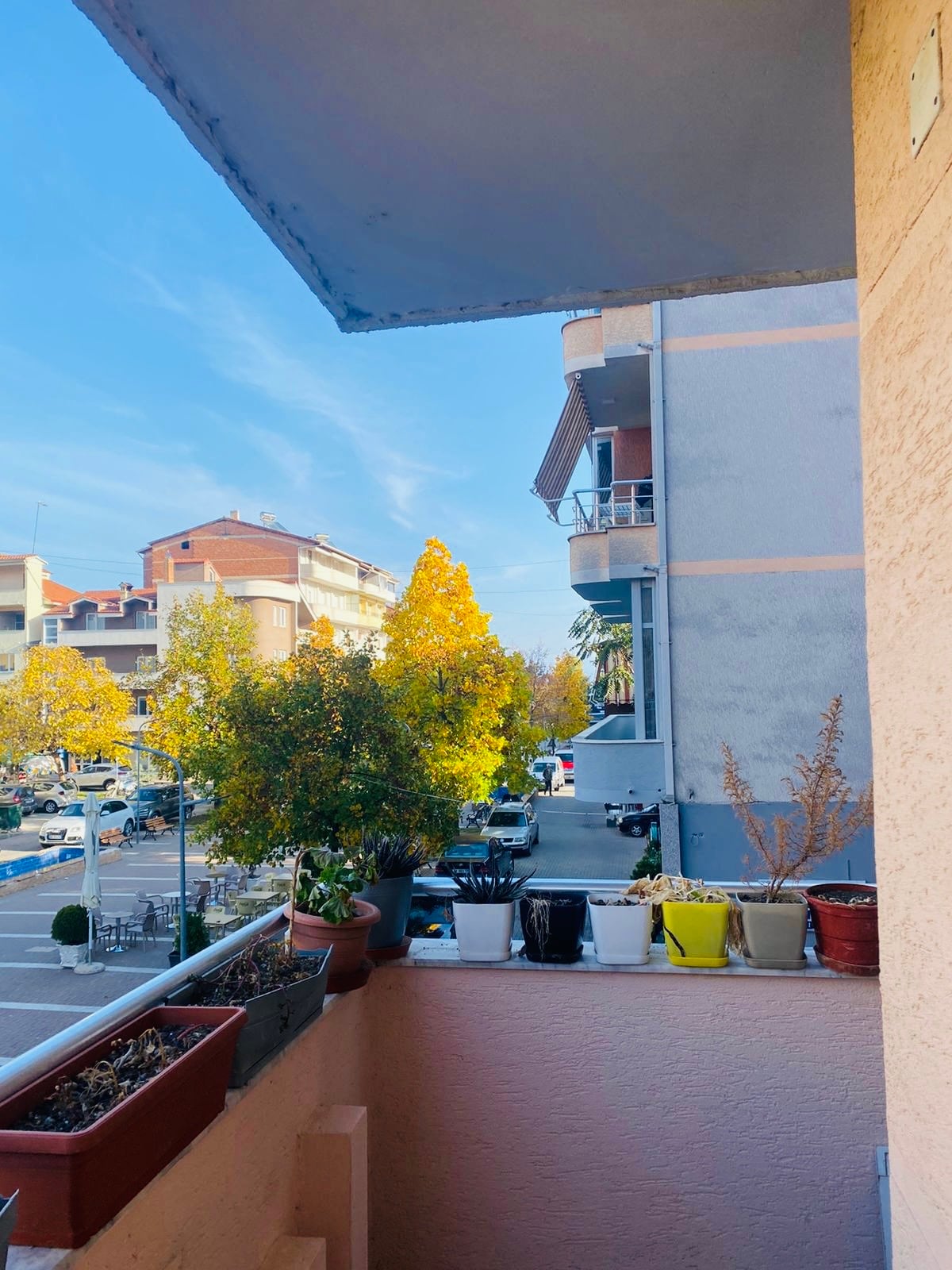 The image displays a balcony view featuring several potted plants, with a mix of vibrant autumn foliage from nearby trees. A bustling street is visible below, showcasing parked cars and neighboring buildings, creating a lively urban atmosphere.
