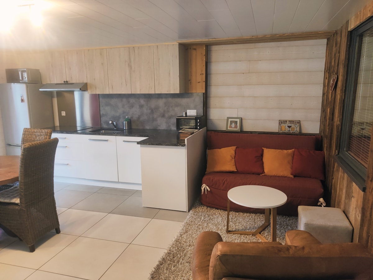 Top performing Airbnb: Country-style apartment with private Jacuzzi in Taninges