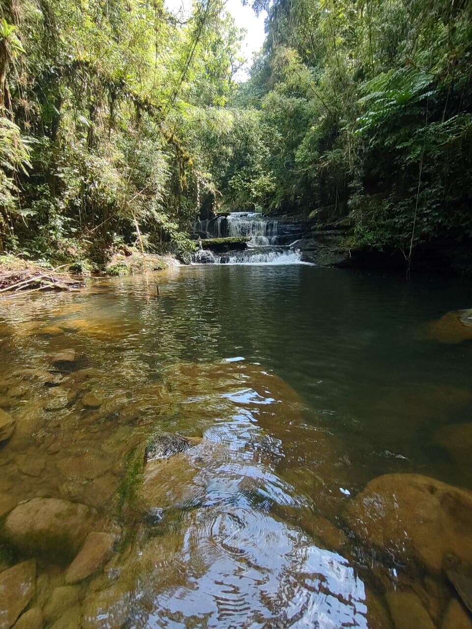 A serene water body is visible, bordered by lush greenery and rocks. Gentle cascades of a waterfall create a peaceful ambiance, while sunlight filters through the surrounding trees, reflecting softly on the water's surface. The scene evokes a sense of tranquility in a natural setting.