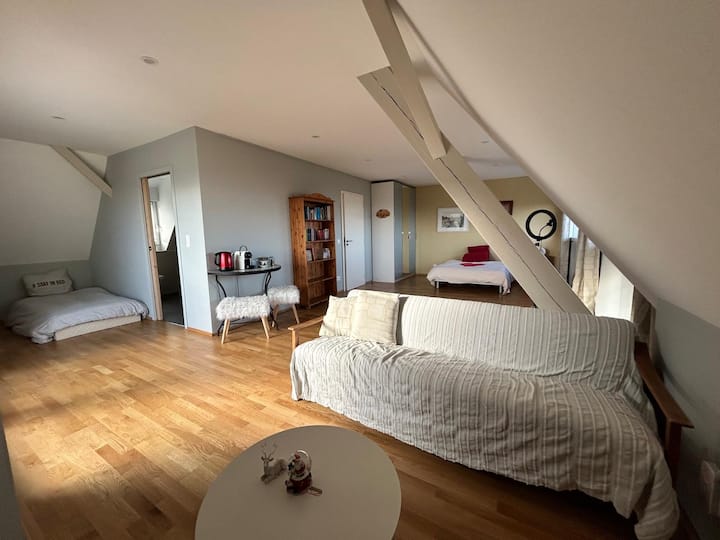 Chambre D’hôtes Vue Sur Vignoble Avec Terrasse - Husseren-les-Châteaux