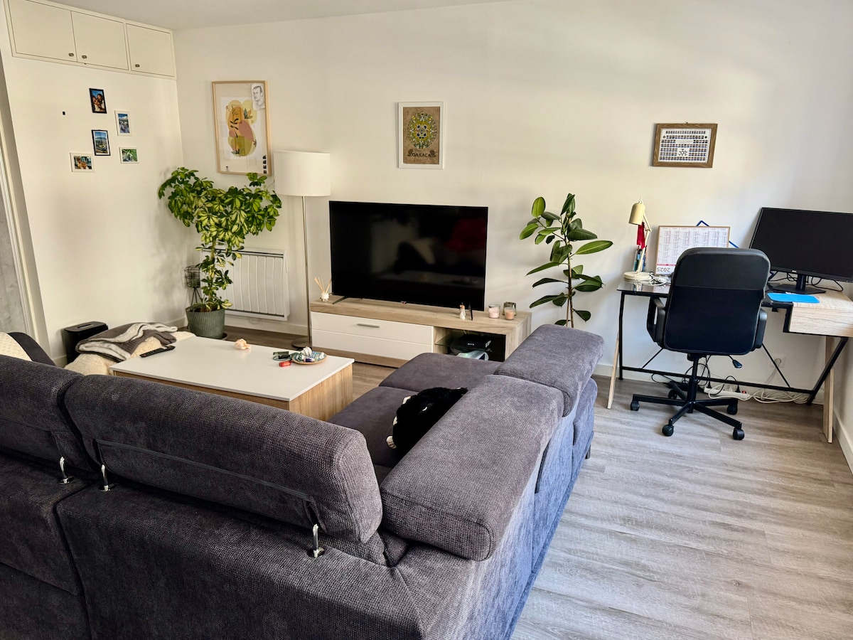 Proprietà Airbnb di successo: Large 2-room apartment, air-conditioned in pedestrian area a Haguenau