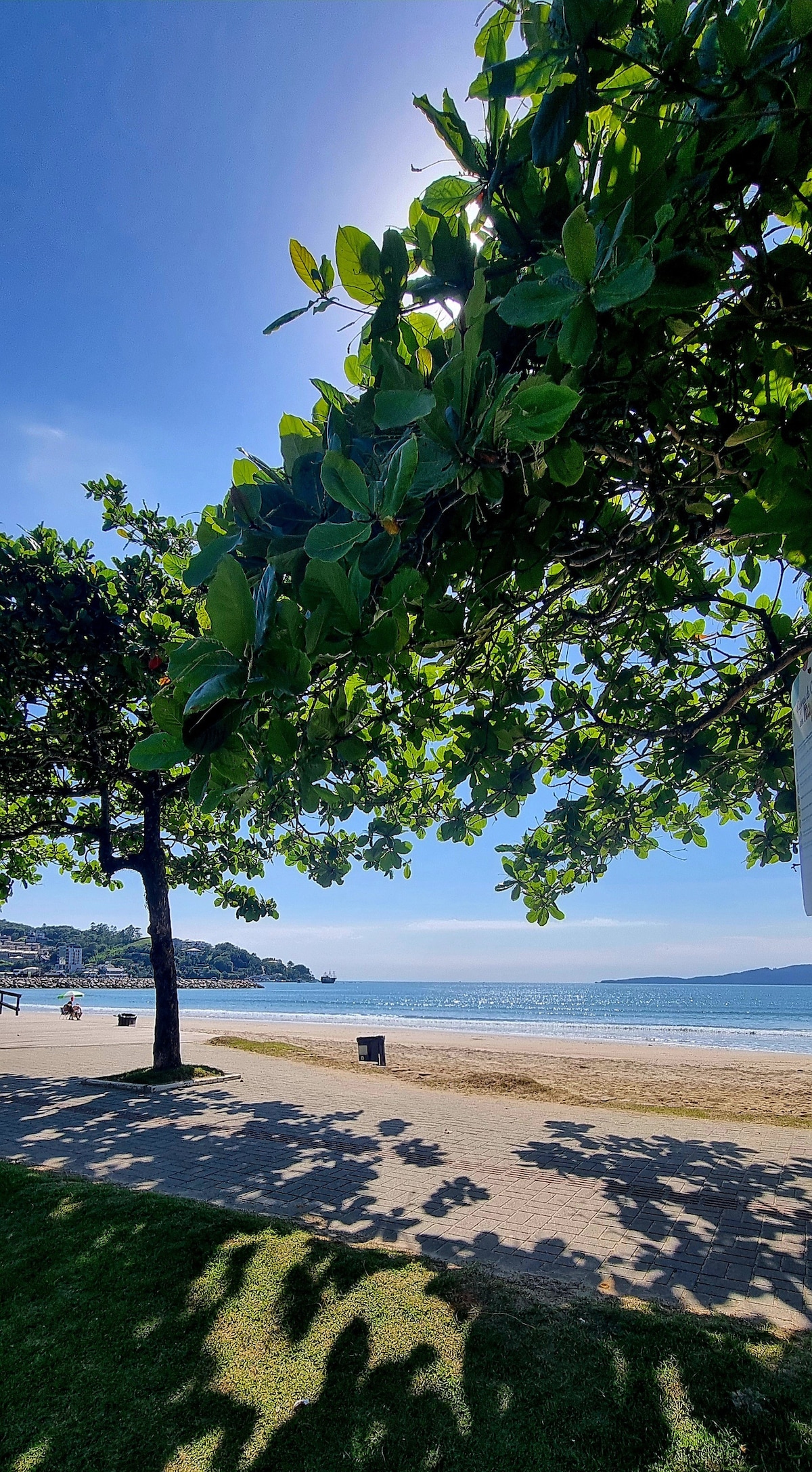 A view of the beach framed by lush green trees, with sunlight reflecting off the water. A sandy shore is visible in the foreground, while gentle waves can be seen lapping in the distance. The scene conveys a serene coastal atmosphere.