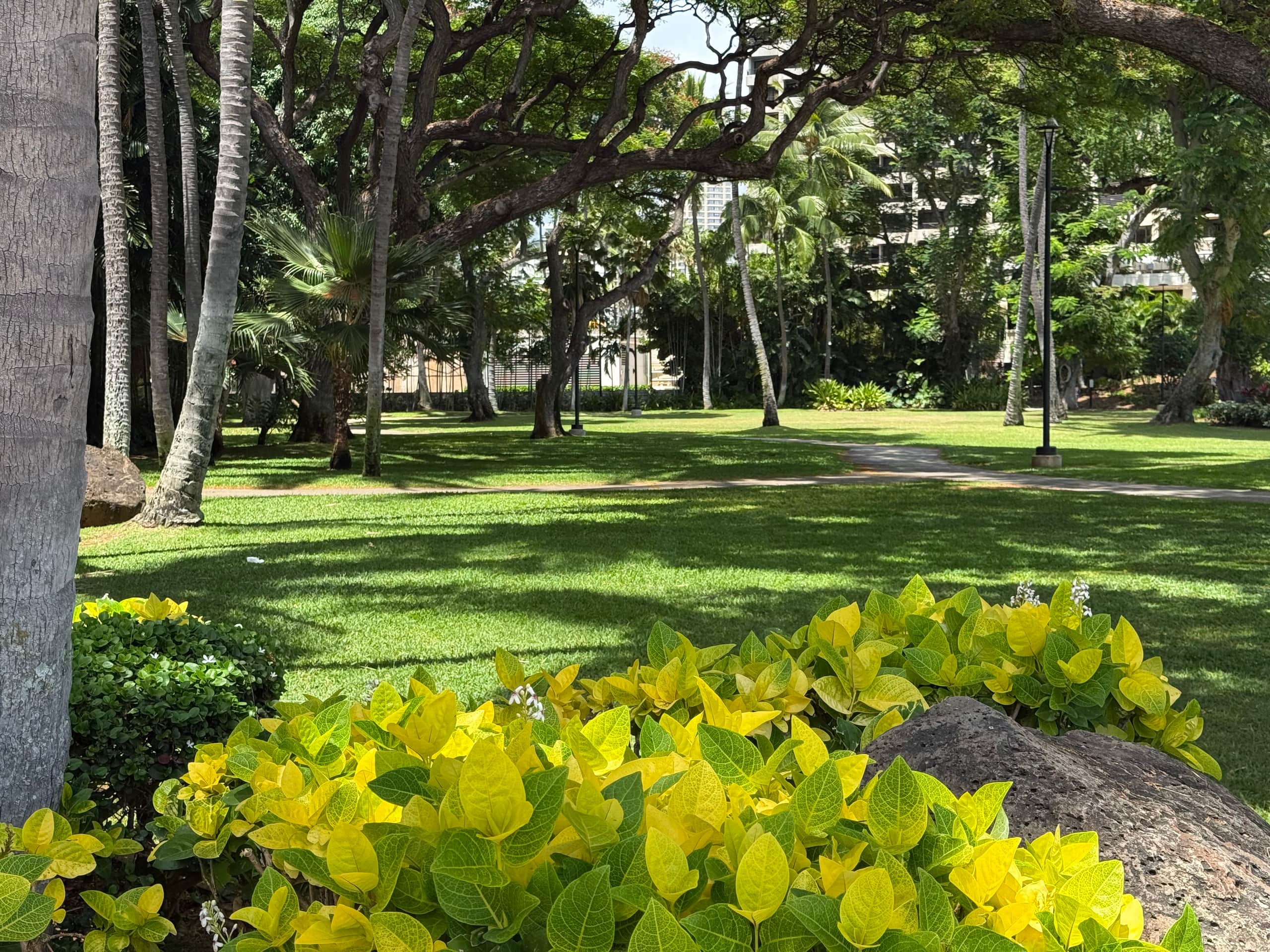 Condo in Honolulu · ★5.0 · 1 bedroom · 1 bed · 1 bath - Image 33