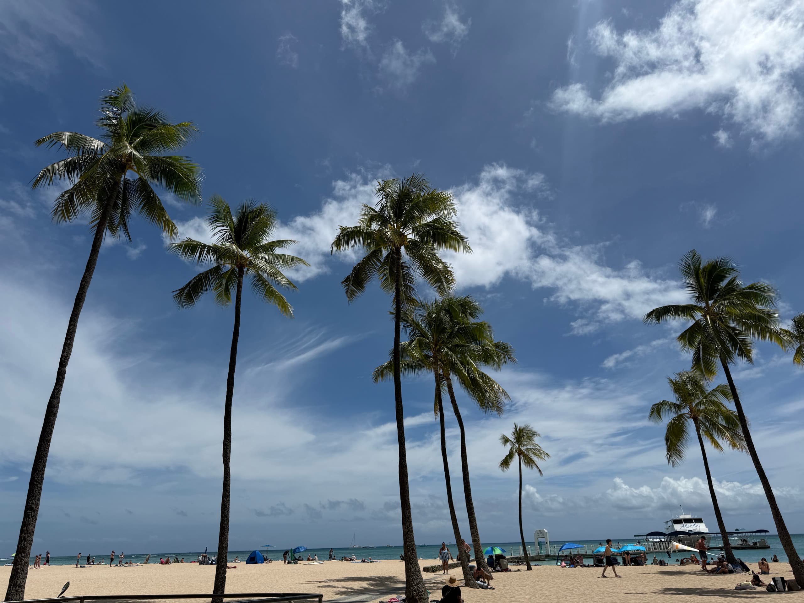 Condo in Honolulu · ★5.0 · 1 bedroom · 1 bed · 1 bath - Image 28