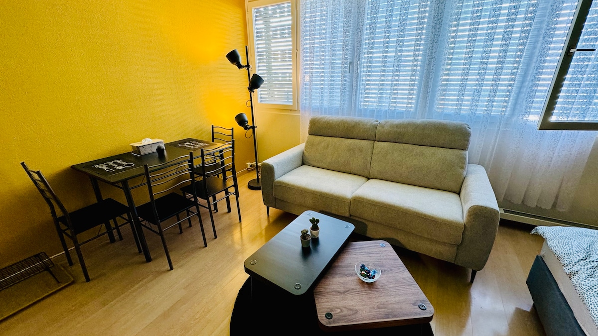 Successful Airbnb property: Modern studio in Bern 1BR breakfast included in Spitalacker