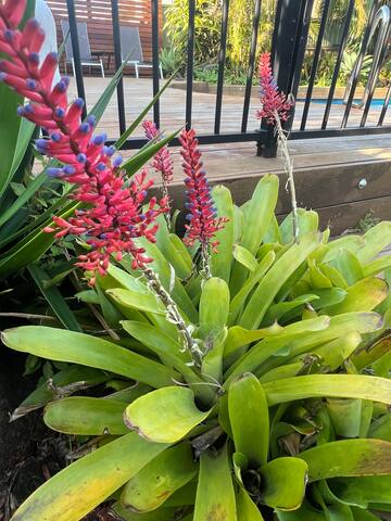 A home away from home gallery image 3