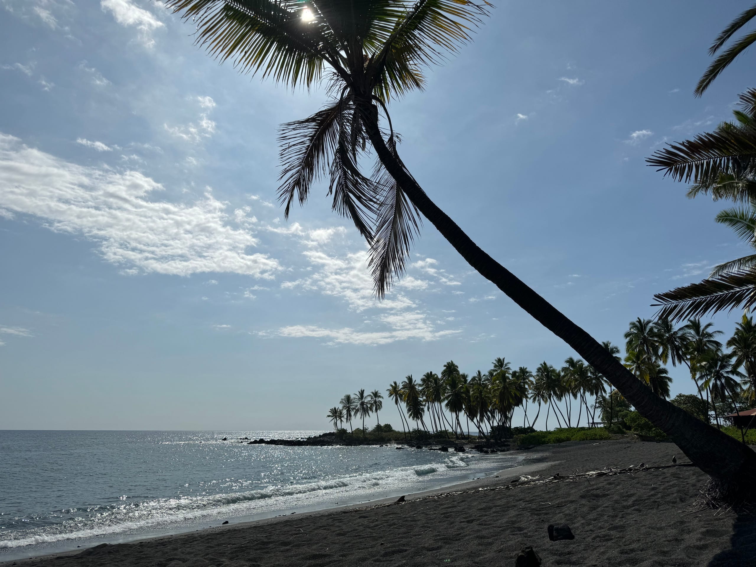Condo in Kailua-Kona · ★4.96 · 1 bedroom · 1 bed · 1 bath - Image 25