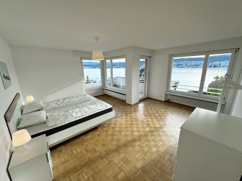 Lake view penthouse, 6.5 rooms, parking, near city