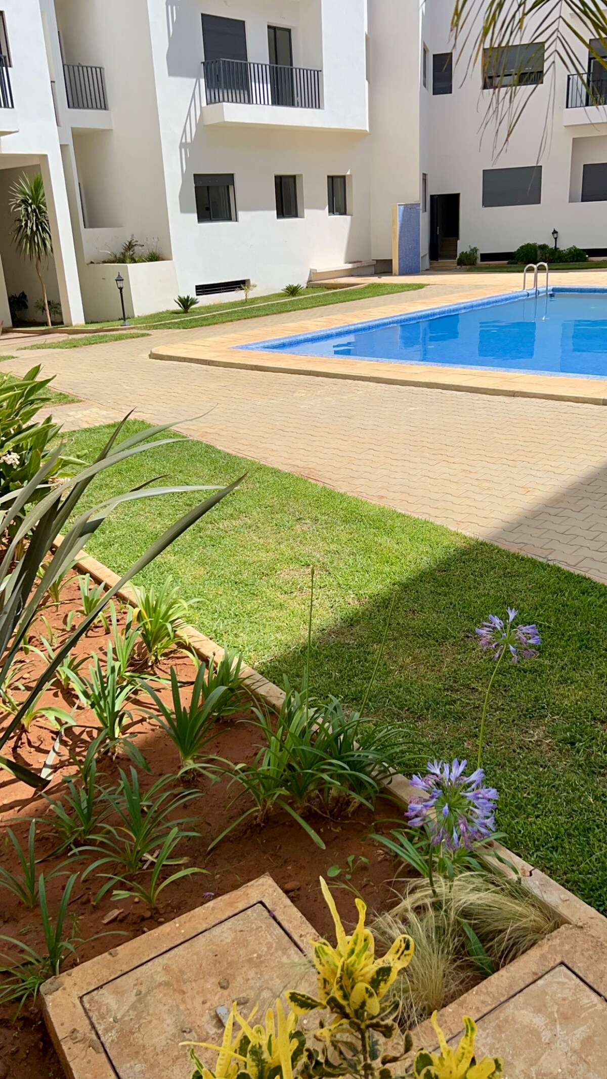 A serene courtyard setting is depicted with a clear blue swimming pool and a neatly paved surrounding area. Lush green plants and flowering elements add natural beauty, while modern white buildings are visible in the background, creating a calm and inviting atmosphere.