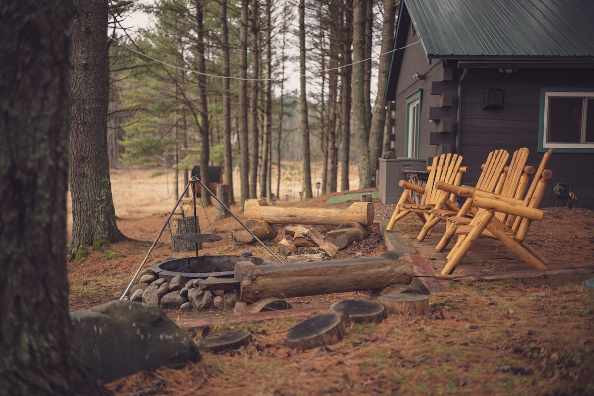 An outdoor seating area with log chairs surrounds a fire pit, set amidst tall pine trees. A rustic campfire ring made of stones is positioned nearby, with wooden logs arranged for sitting. The ground is covered with pine needles, enhancing the natural setting.