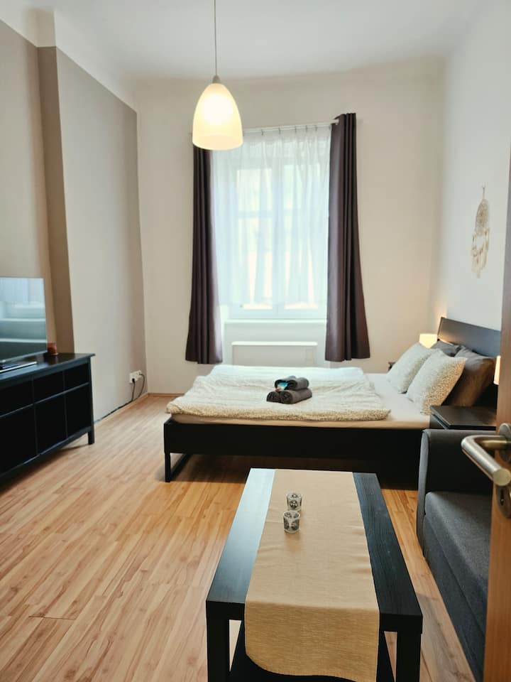 Modern Apartment - Fewminstooldtown - Prague