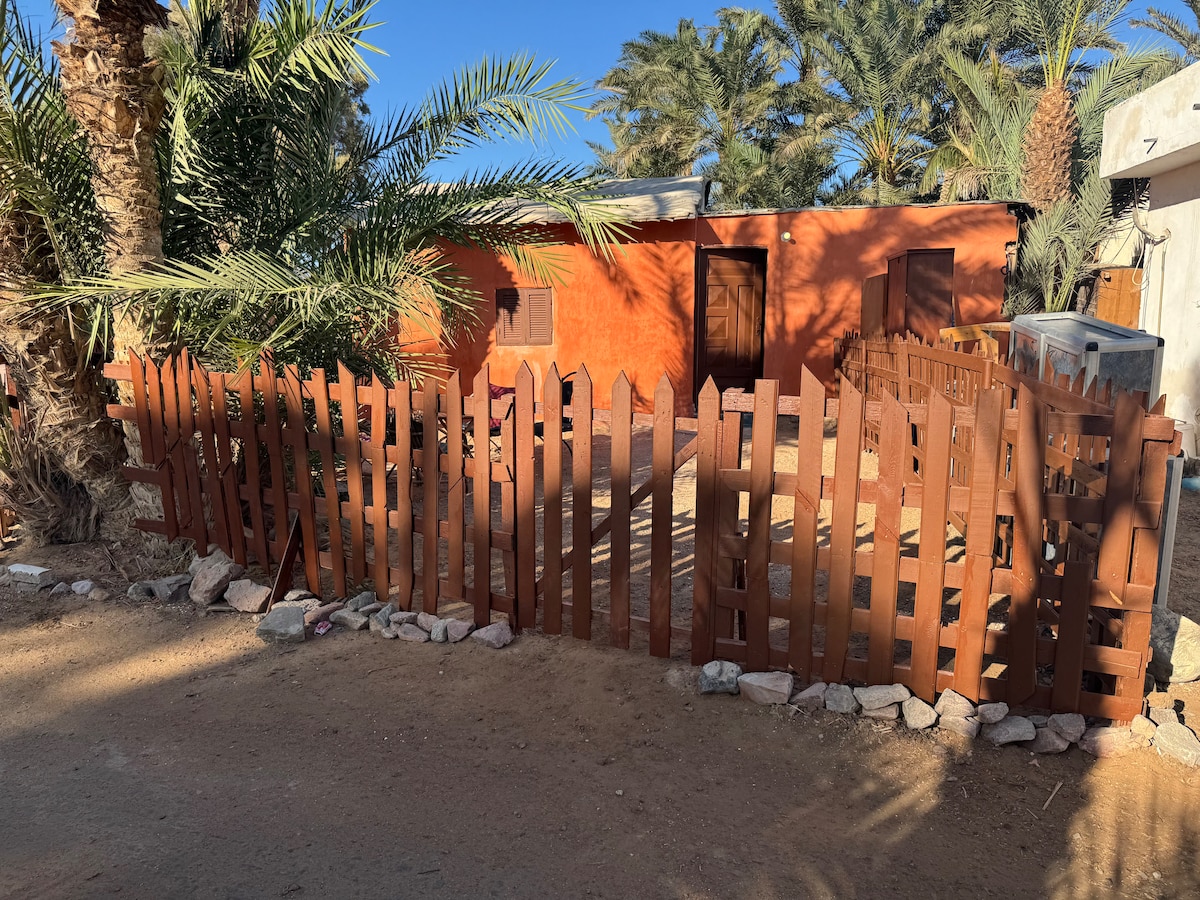 An inviting wooden fence with a pointed top surrounds a small, rustic building. Framed by palm trees, the red exterior of the structure is complemented by a dirt pathway leading to the entrance.