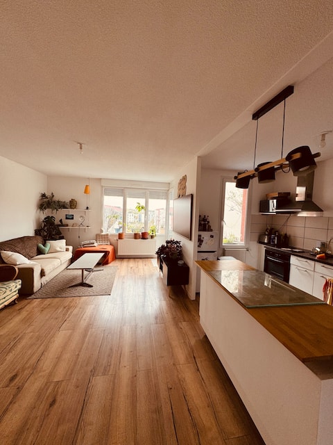 Beautiful apartment near Mulhouse - large balcony 9 m2