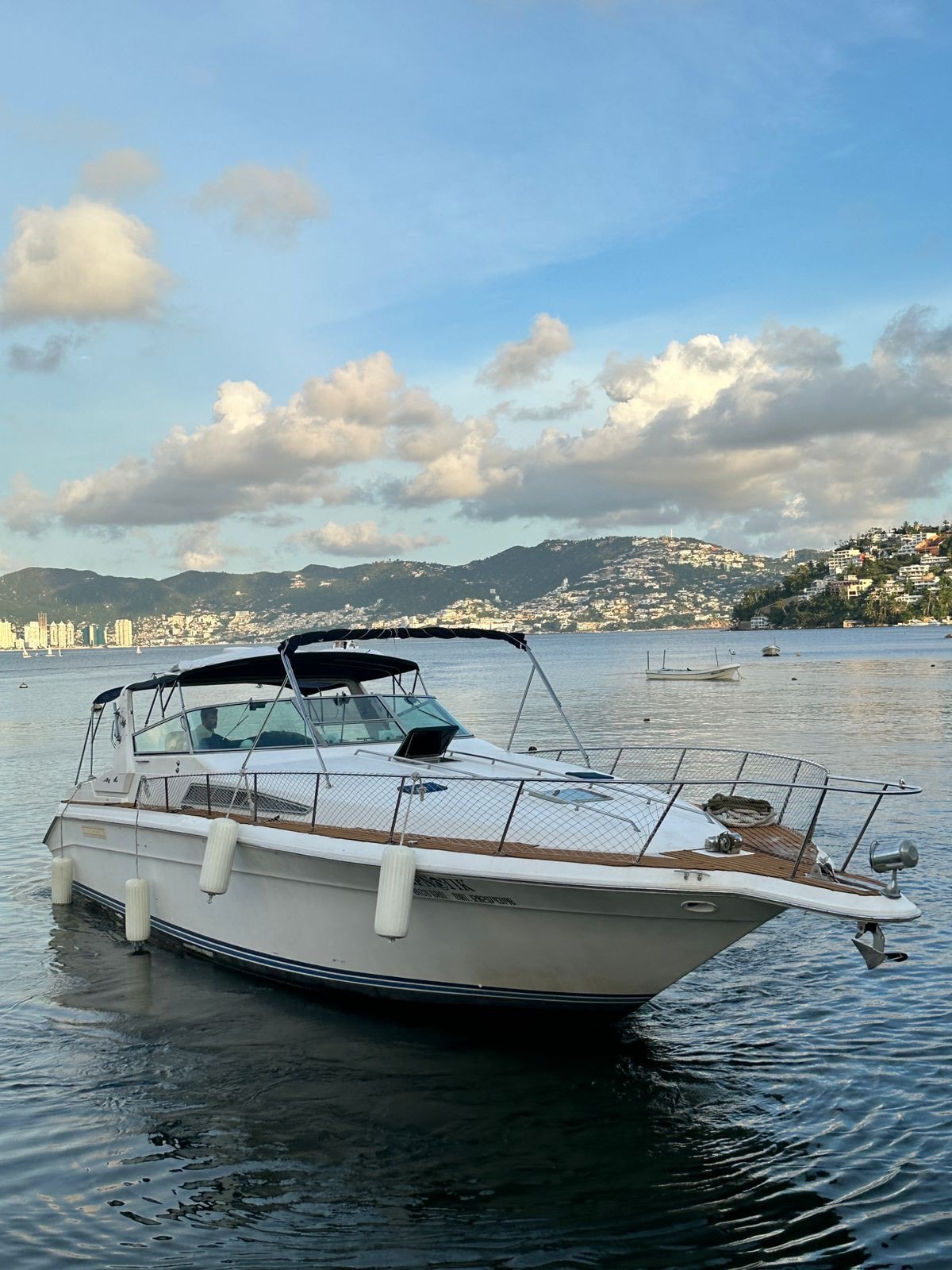 A spacious Sea Ray boat is anchored in calm waters, displaying a sleek exterior with a white hull and dark canopy. The backdrop features lush green hills and a city skyline, under a sky scattered with clouds.