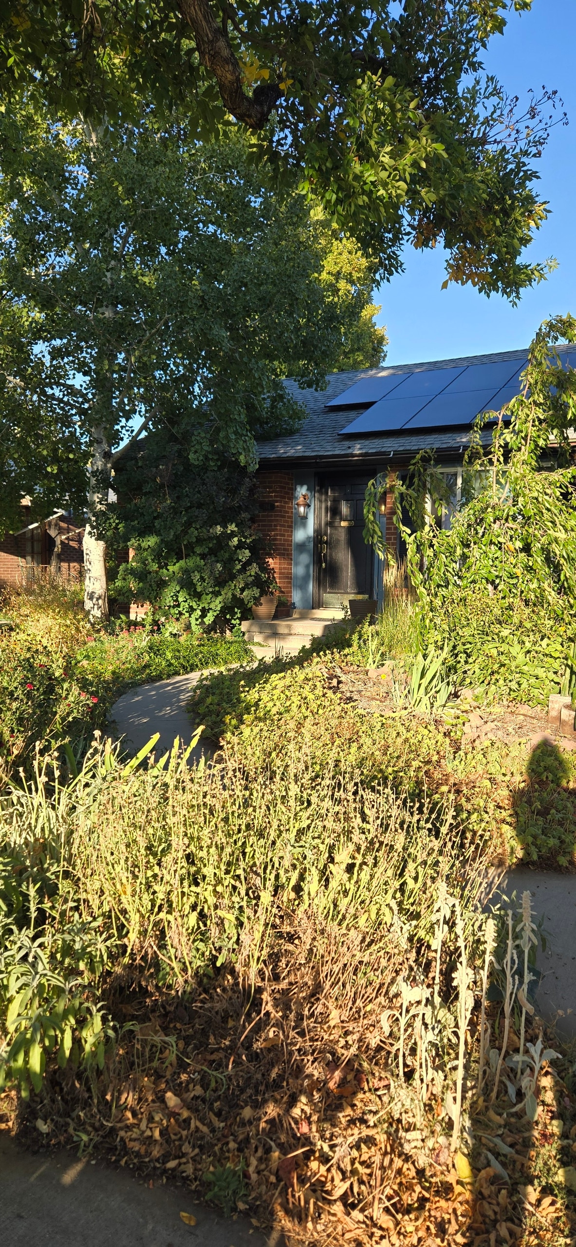 The exterior of a charming home is framed by lush greenery and flowering plants. Solar panels rest atop the roof, and a pathway leads to the front door. Sunlight filters through the trees, creating dappled shadows on the ground.