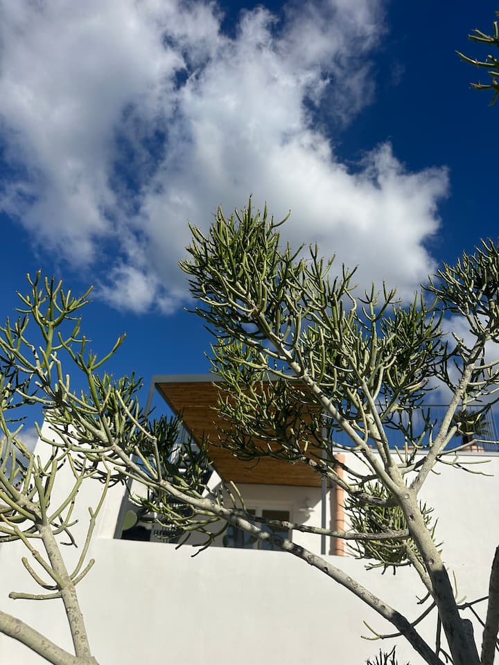 Noto | Casa Caprifoglio | Due Terrazzi - Noto