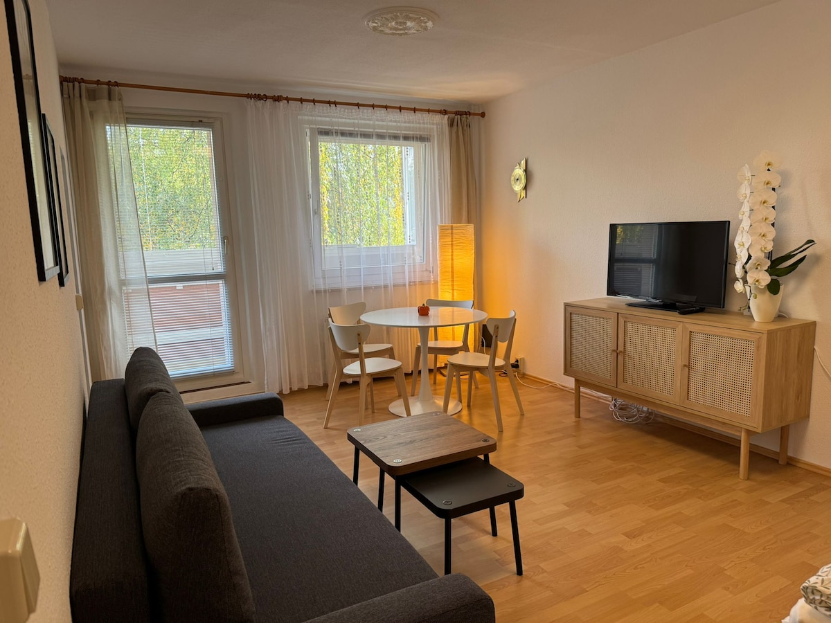 The living area features a dark sofa and a wooden table surrounded by light-colored chairs. A TV is positioned on a wooden cabinet, while natural light floods in through large windows with sheer curtains. A decorative floor lamp adds warmth to the space.