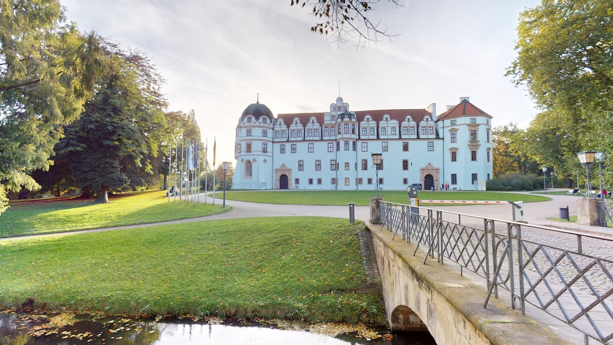 An elegant historic building is set against a backdrop of lush greenery. The structure features a mix of architectural styles, with a prominent dome and intricately designed windows. A serene pathway leads toward the entrance, complemented by a small bridge over a calm waterway.