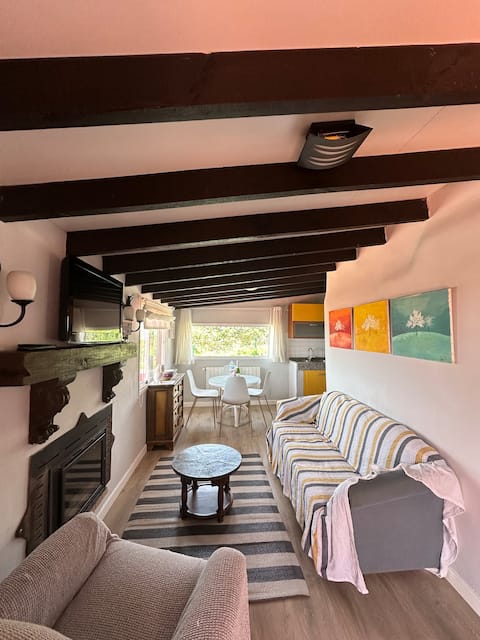 Popular Airbnb listing: Finca La Treviña, Apartment 1 in Los Realejos
