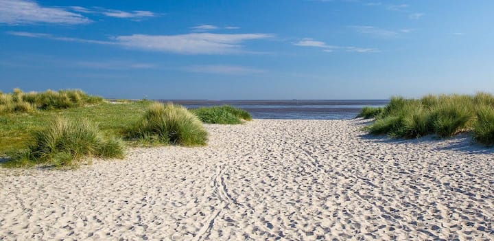 Слика 1 од „Wangermeer Perle I“
