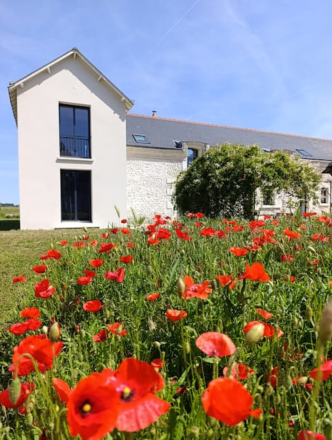 Charming farmhouse in Amboise and the Châteaux of the Loire Valley