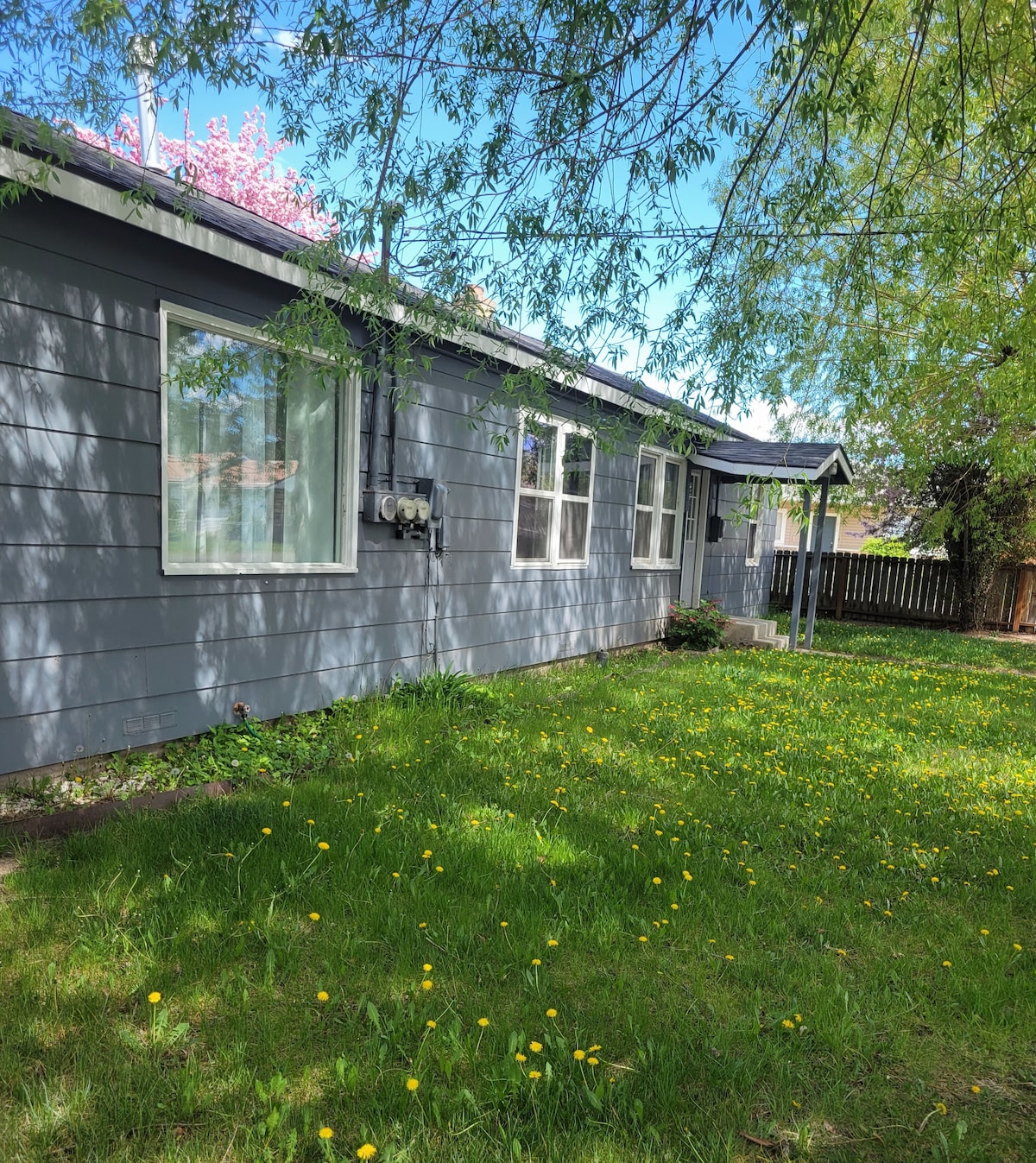 A side view of the duplex is presented, featuring light gray siding and large windows reflecting natural light. A grassy area with dandelions is visible in the foreground, bordered by a wooden fence and surrounded by trees providing shade.