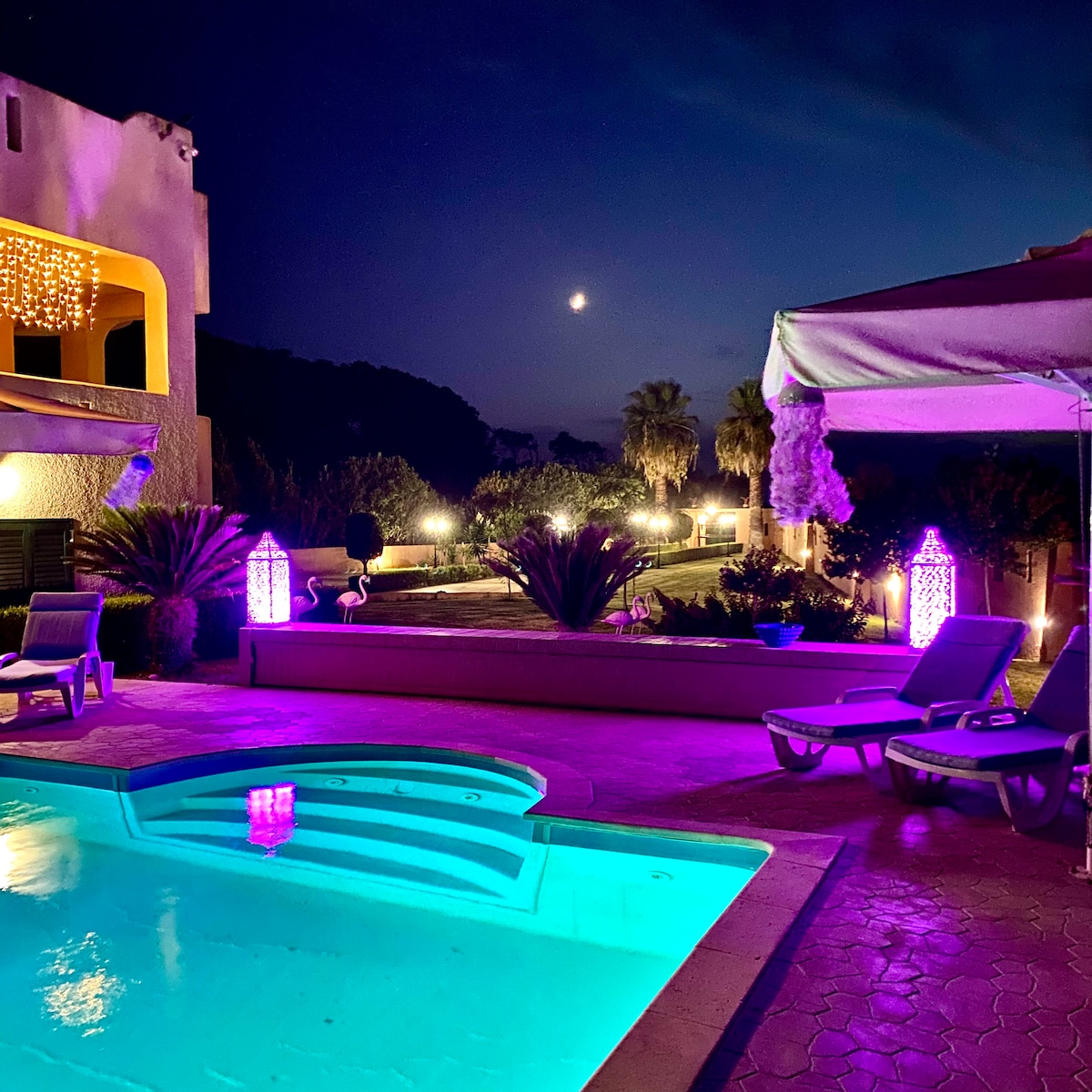 A tranquil pool area glows with soft, colorful lighting under a night sky. Palm trees and garden paths are visible in the background, and a bright moon illuminates the scene. Comfortable lounge chairs line the poolside, inviting relaxation.