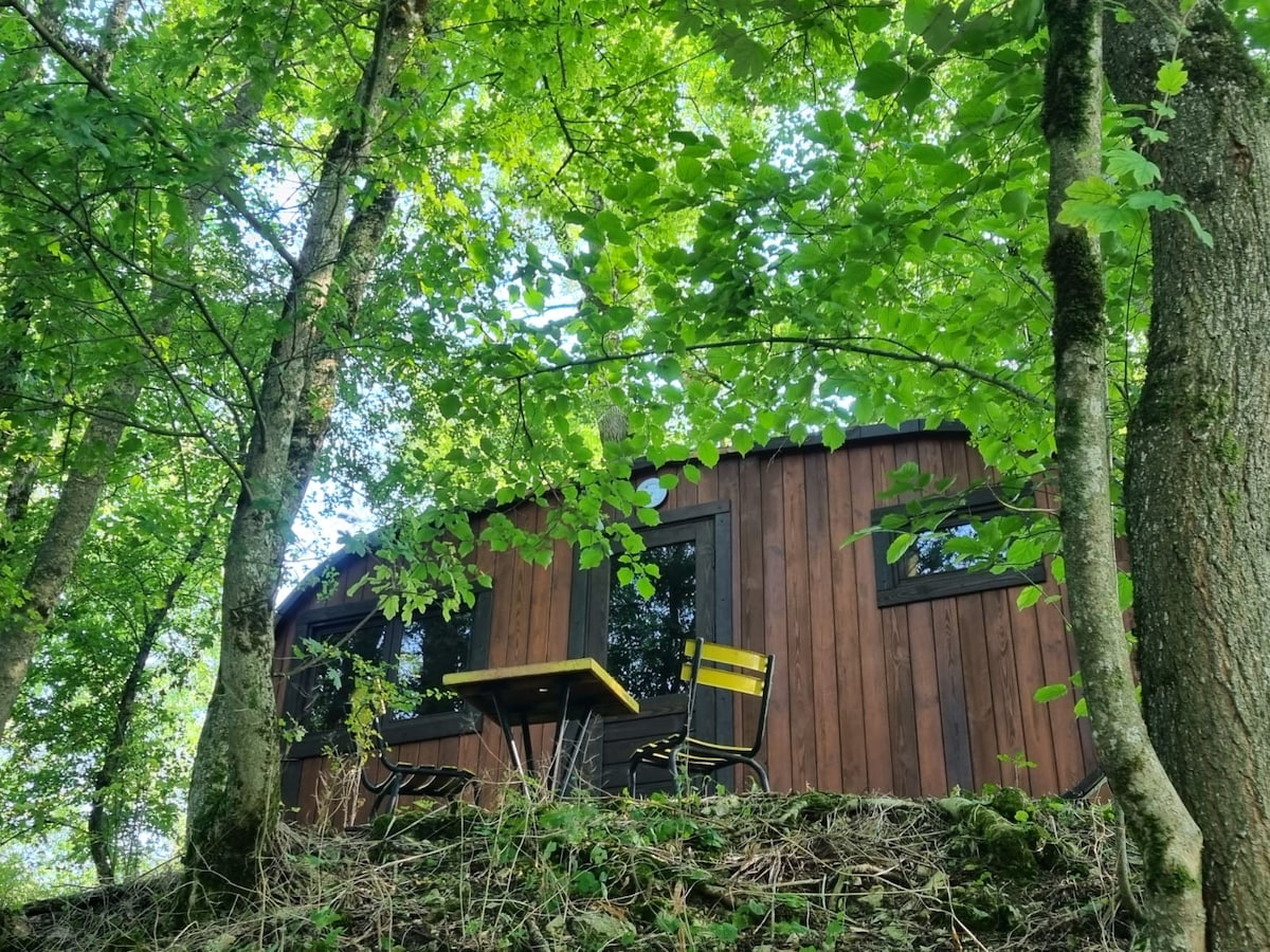 A secluded cabin is nestled among lush green trees, showcasing a wooden facade that blends with nature. Outside, a small table with two chairs is positioned on the ground, offering a peaceful space to enjoy the surrounding forest.