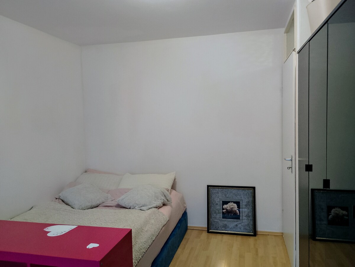 A simple bedroom is presented with a spacious bed adorned with soft pillows and a light blanket. A large mirror wardrobe occupies one wall, while a framed picture leans against the floor beside the bed, contributing to the room's understated decor.