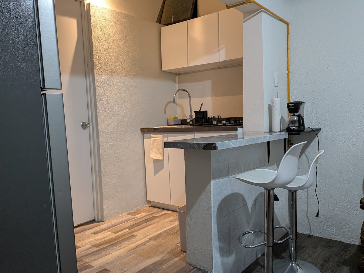 Successful Airbnb property: Nice studio in front of the forest in San Miguel Chapultepec 2ª Sección