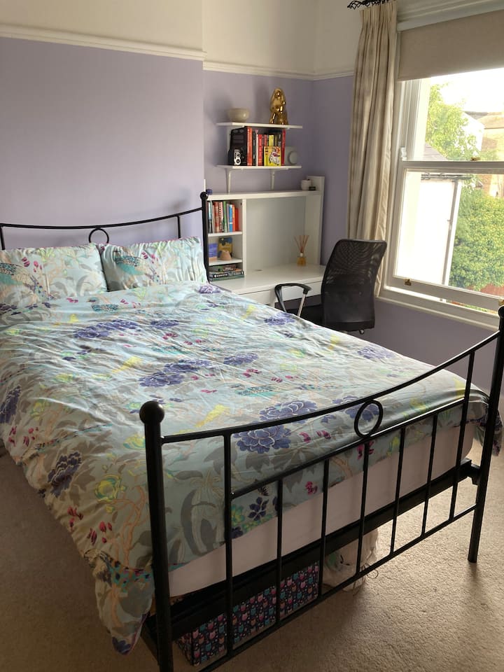Iron double bed frame 