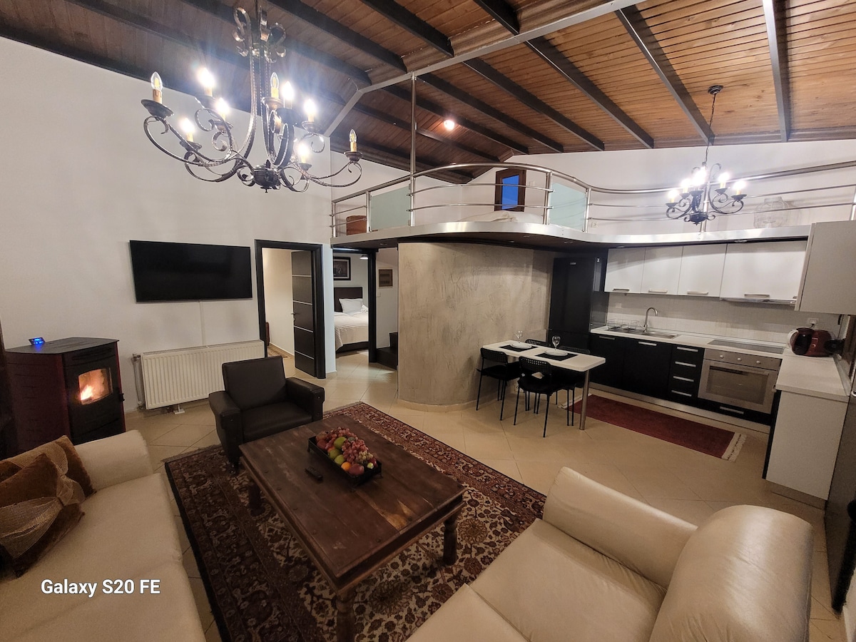 An open-plan living space features high wooden ceilings and a cozy seating area with two armchairs and a sofa. A wooden coffee table is centered on a decorative rug. The kitchen is equipped with modern appliances, while a staircase leads to an upper sleeping area.