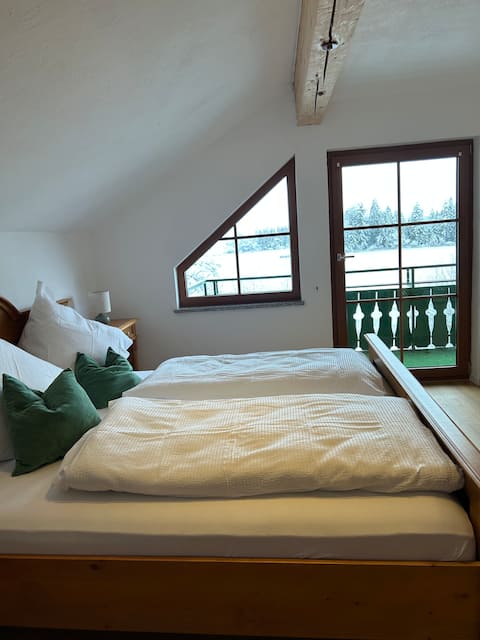 Cozy apartment with mountain views right on the lake