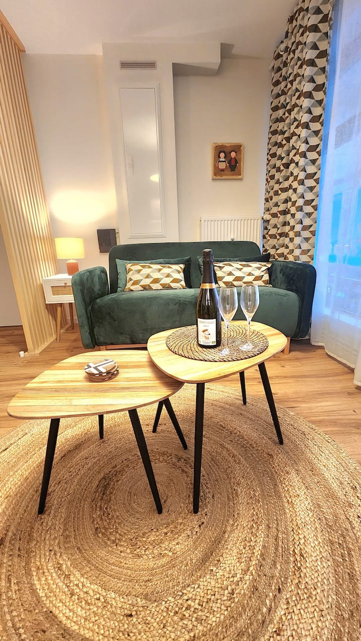 Appartement "L'échappée Belle" - ibis Styles Strasbourg Avenue du Rhin