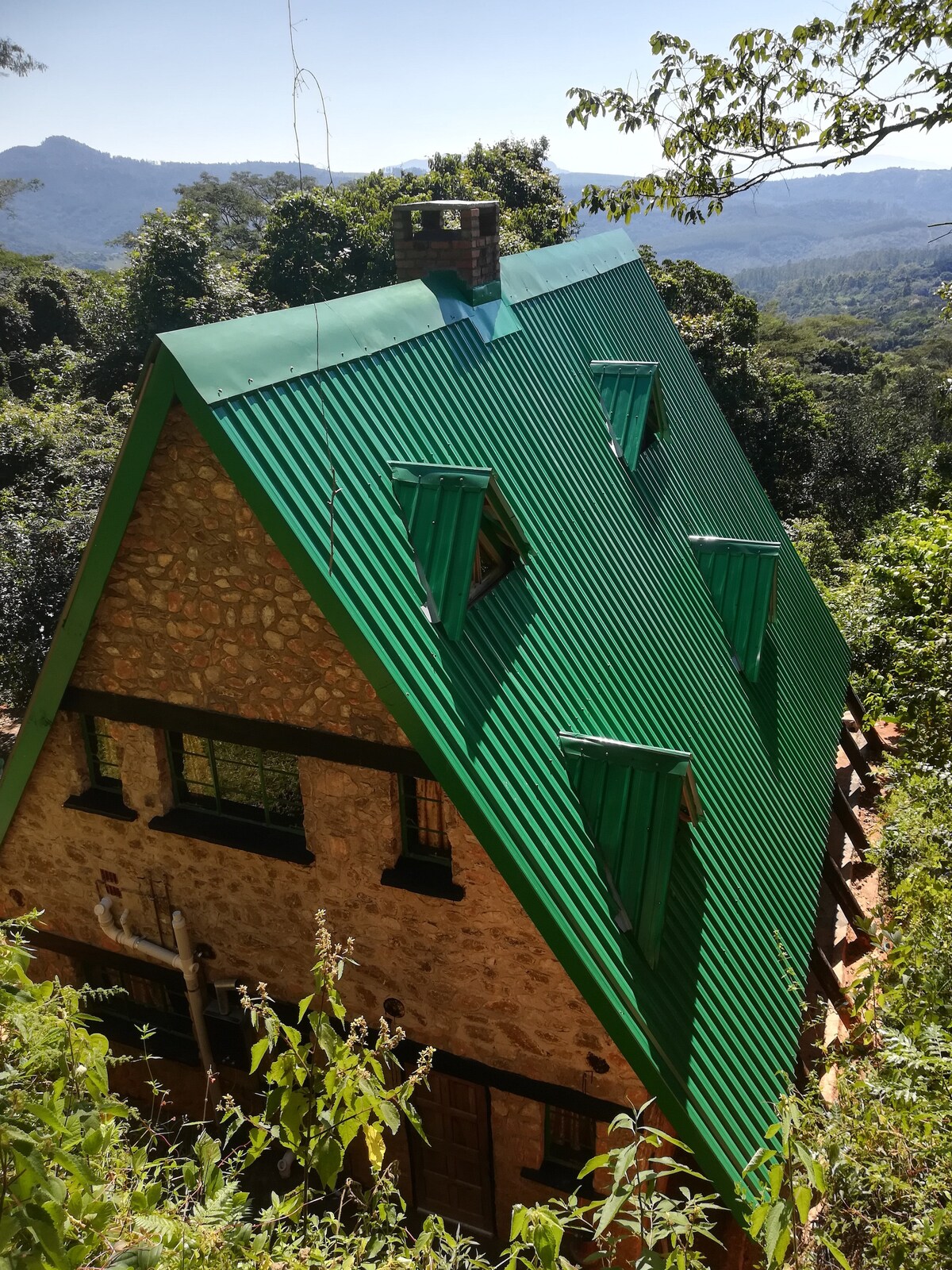 A sloped green metal roof with operable shutters complements the stone exterior of a house nestled among trees. Surrounding vegetation contributes to a secluded ambiance, while a mountain view is visible in the background under clear skies.