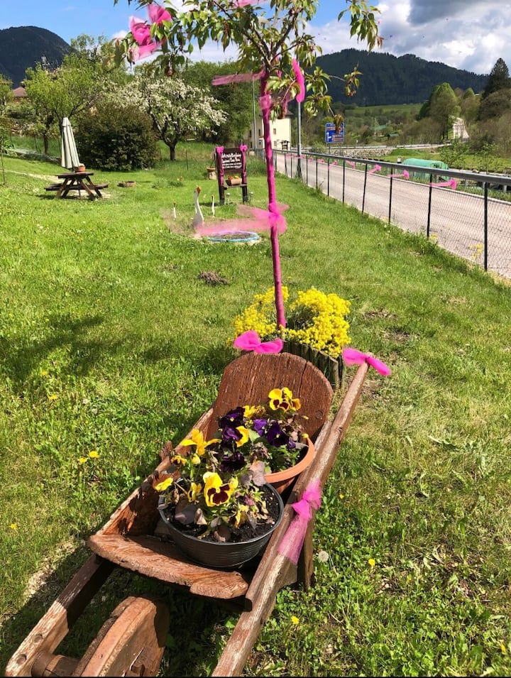 Casa Vacanze" Casa Maria" Pieve Tesino 
Trentino - Passo Brocon