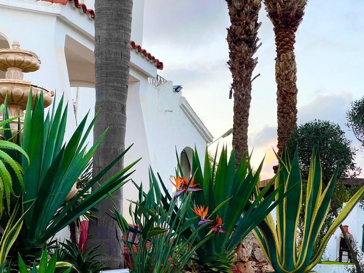 Lush greenery surrounds a charming villa, featuring tall palm trees and vibrant orange flowers. A decorative fountain is visible, enhancing the tropical ambiance. The villa's white facade provides a striking contrast against the vibrant plants, contributing to a serene outdoor environment.