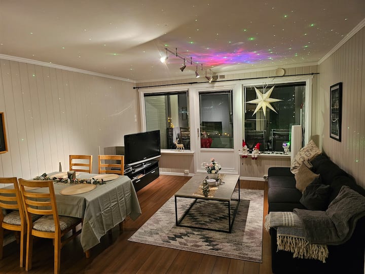 Koselig Og Fin Leilighet - Tromsø