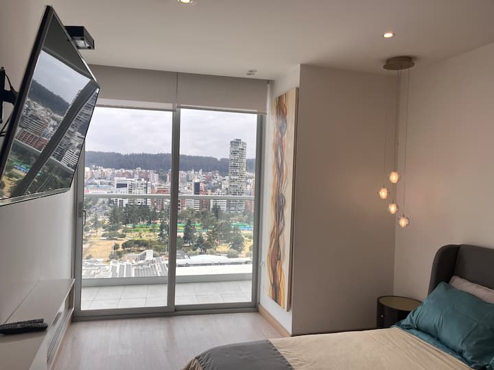 Kitanda aina ya Queen, televisheni, roshani, mwonekano wa Bustani ya Carolina