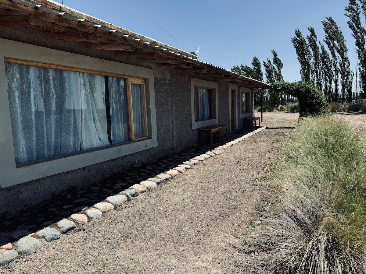 A rustic exterior view of the casita reveals a long façade with large windows that allow natural light to fill the interior. A gravel path leads to the entrance, bordered by varying textures of desert vegetation and a row of tall, slender trees that sway gently in the breeze.
