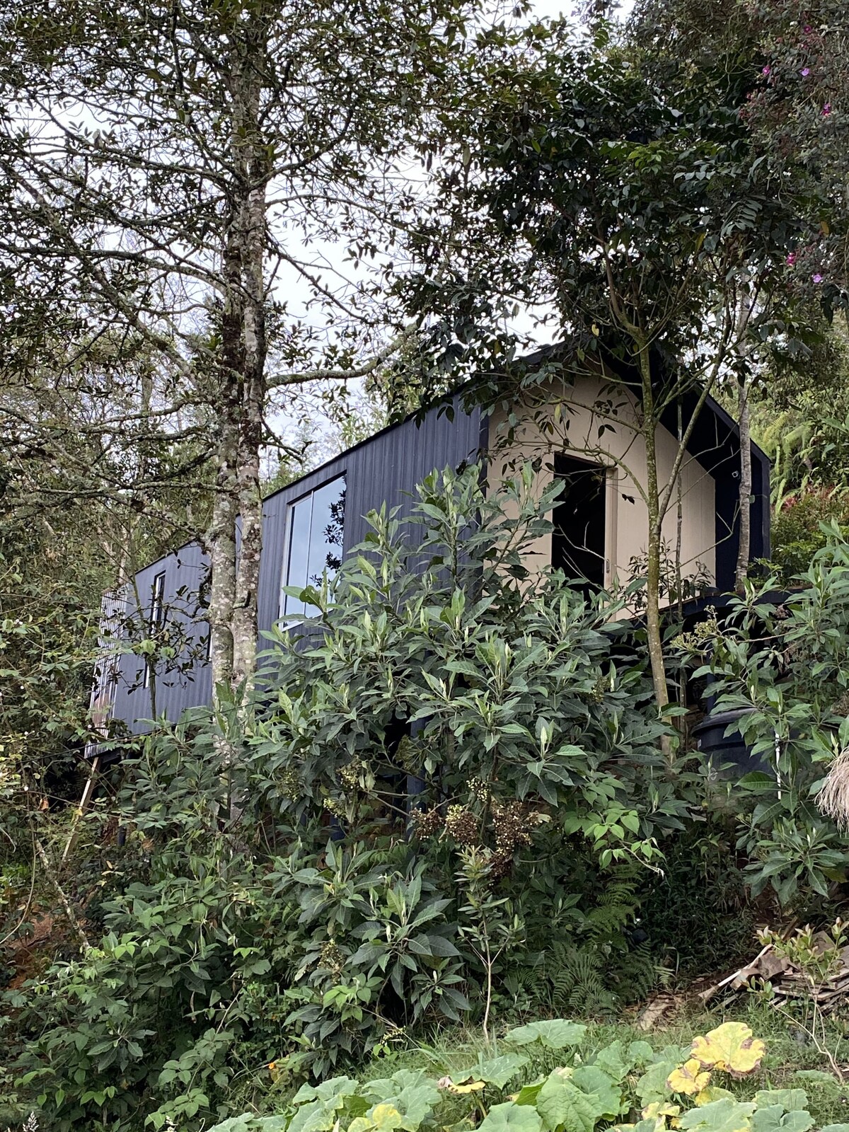 A modern cabin rests among lush greenery, surrounded by tall trees and shrubs. The architecture features large windows that invite natural light inside. The structure is elevated, offering a serene connection to the surrounding nature.