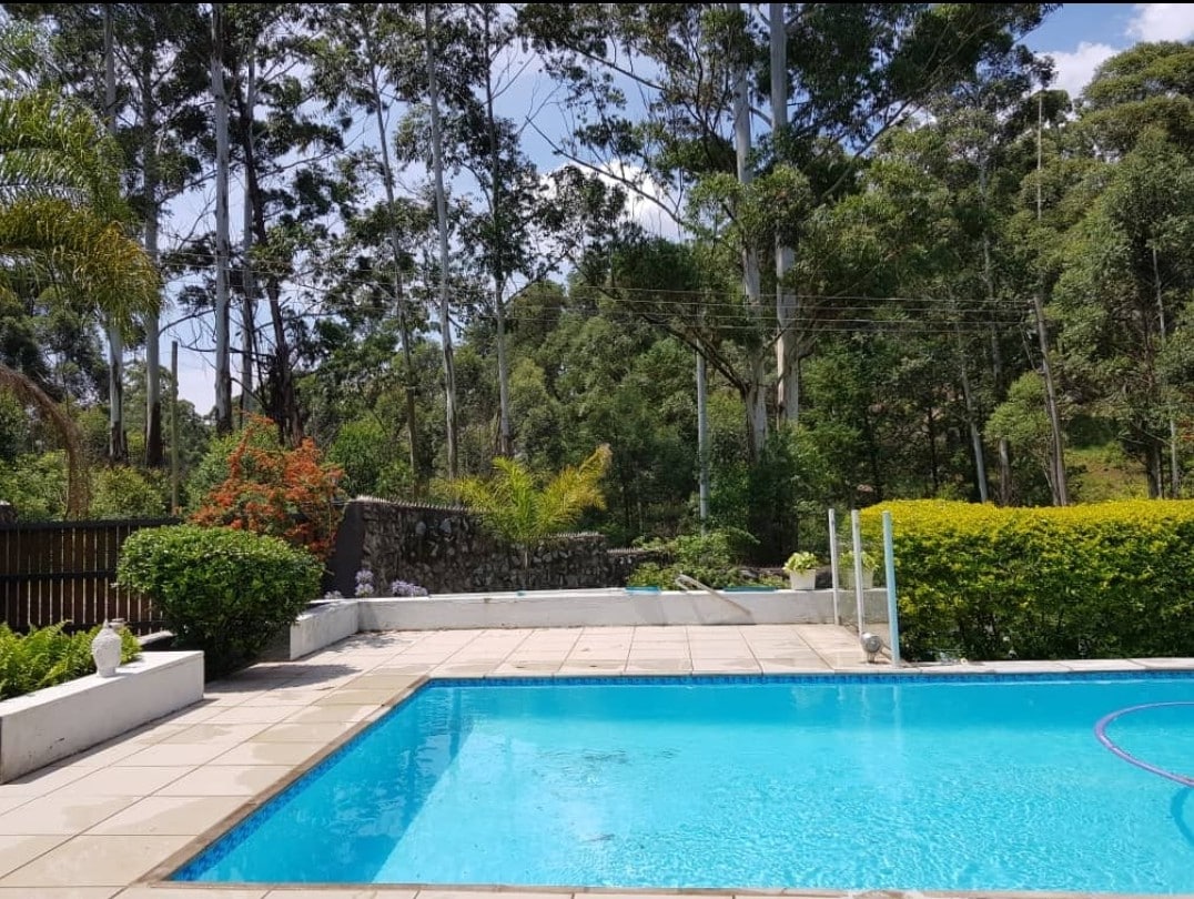 A serene outdoor space features a shimmering pool surrounded by neatly trimmed greenery. Stone tiles provide a spacious area for relaxation. Lush trees and colorful foliage create a natural backdrop, enhancing the tranquility of this inviting setting.