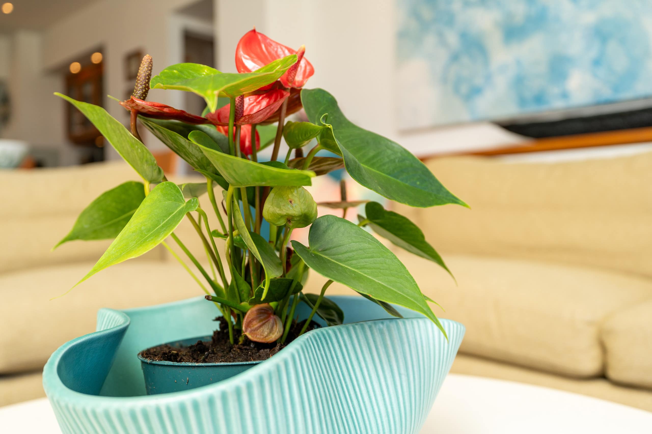 Condo in Honolulu · ★4.97 · 2 bedrooms · 2 beds · 2 private baths - Image 6